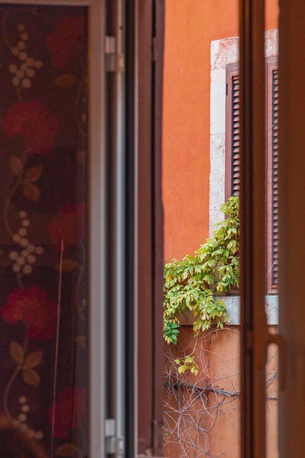 Trasteverehome - Paglia House Of 17Century In Trastevere Rome Bagian luar foto